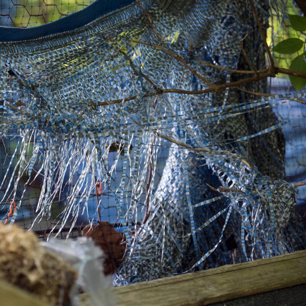 blue mesh